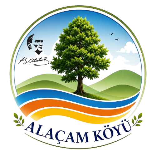 Alaçam Köyü